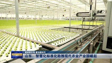山东:智慧化标准化助推现代农业产业园崛起