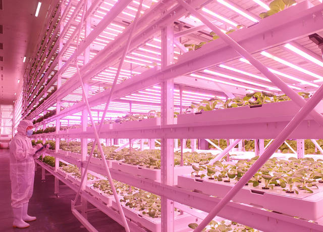 Plant2018中国国际植物工厂及农业照明博览会即将在沪开幕