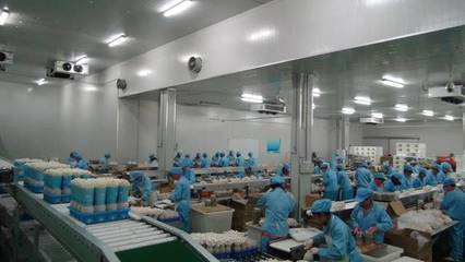 一场一品丨五四农场九道菇