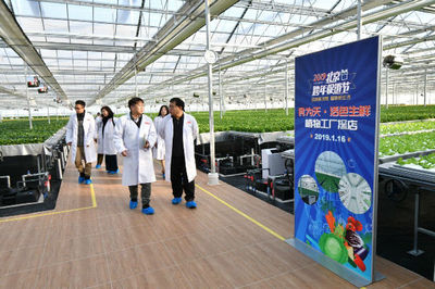 2019北京跨年促销节品质升级 水培蔬菜点缀绿色生活