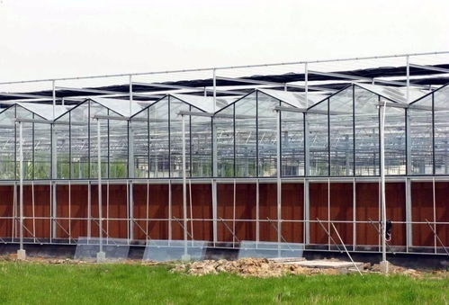 想建玻璃温室的应多看看建温室时需要考虑的因素
