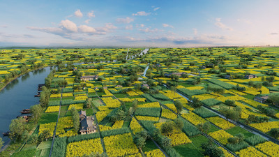 鸟瞰平原农田,现代田园,农田鸟瞰,油菜花田,生态农村,生态田园,生态农业鸟瞰田野,河流,田野,渔船,