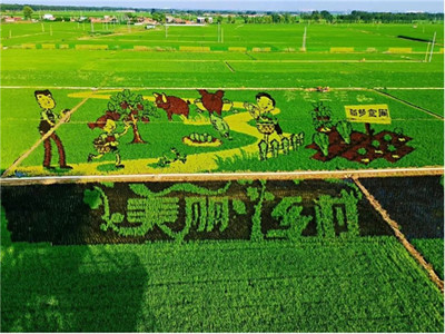 加速新型农业发展,华为云助力沈阳稻梦空间建设数字化产业园