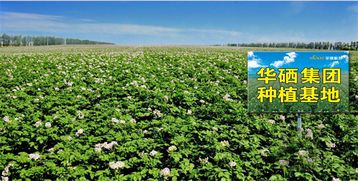 珠海华硒集团邵有林同志受聘为中国管理科学研究院行业发展研究所高级研究员