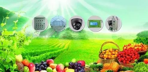 中国农业十大布局方向,战略就是格局