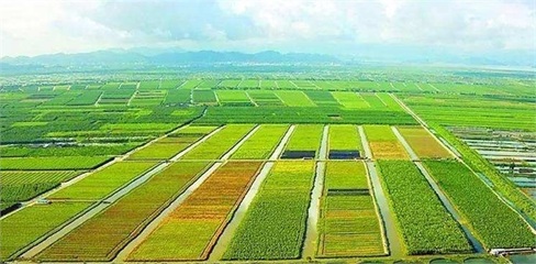 浅谈“十三五”我国现代农业发展趋势