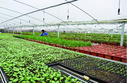 全省推进 农产品出村进城工程 温州2地被列为省级试点县