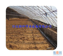 【滴水软带厂家|黑色壁厚0.3mm蔬菜滴灌输水带的图片】-省内其它易登网