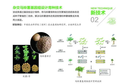组图丨31项农业农村重大新技术新产品新装备发布