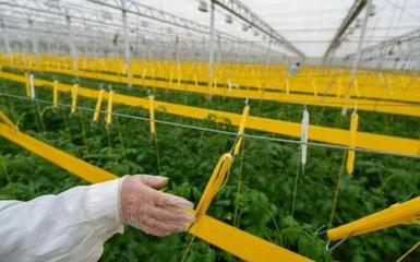 补贴上百万!数字农业工厂:智能化、自动化的农业生产新模式