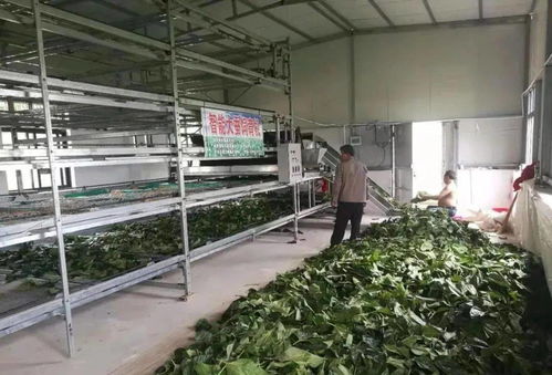 东台市富安茧丝绸产业园入选省级推介名单