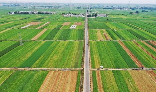 中国各个省份的 第一 ,广东美食第一,剩下那17个省市想不到了