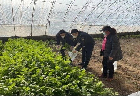 北京市农业执法系统开展监督抽查 护航春节农产品质量安全