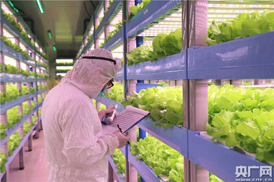 中央媒体走进世界最大植物工厂 探索新兴光生物产业“密码”