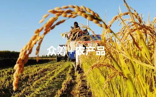 农业物权众筹平台可靠么