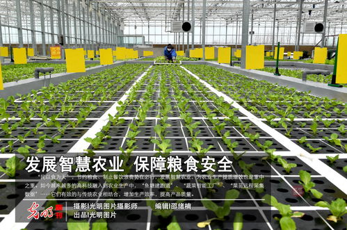发展智慧农业 保障粮食安全
