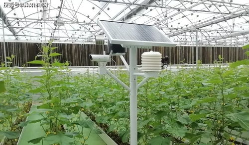 智慧农业物联网传感器