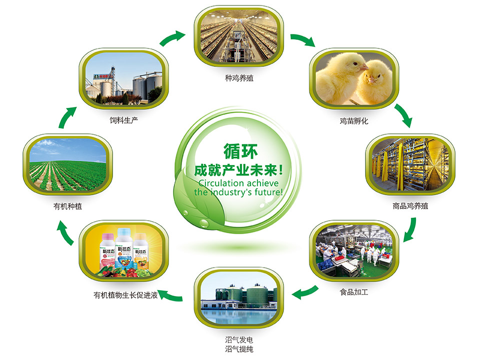 关于民和 - 山东民和生物科技