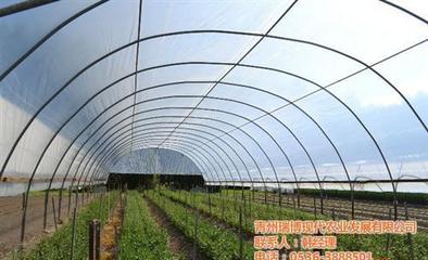 【新昌晟物产(图) 温室工程生产厂家】图片,海量精选高清图片库