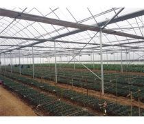 【山东大棚温室(园艺用具)产品库】_价格/图片/厂家 - 园艺用具产品库 - 贸易中心网手机版