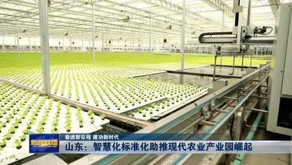 山东:智慧化标准化助推现代农业产业园崛起