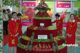 累计1480余吨 统计显示深圳成最大台果进口口岸图