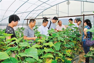 从农田到餐桌 抓好源头监管 为群众提供放心优质农产品