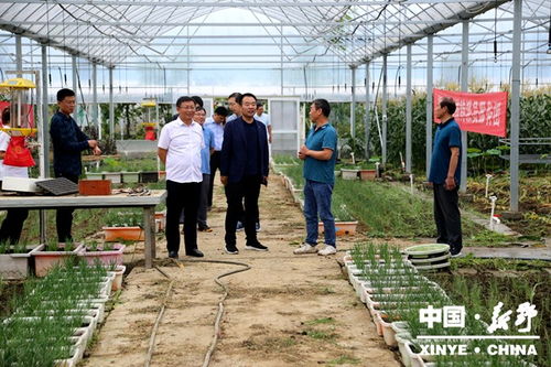 河南建业集团考察调研新野县特色农业产业项目建设工作