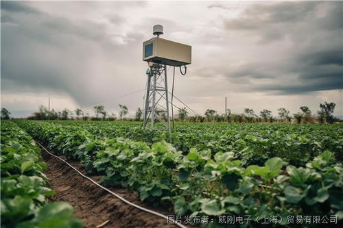 加强 ai 农业 的应用赋能,威刚工控多款存储产品助力农业现代化升级