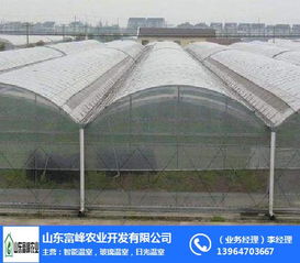 连栋温室大棚在朔州地区农业现代化中的应用——富峰农业的实践探索
