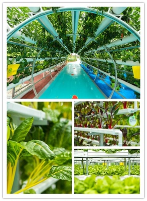 中秋有氧之旅 探访益阳现代农业嘉年华，与湖南卫视李锐村长共度佳节