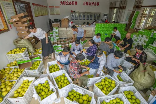 重庆万州长岭村委会办公室变身加工厂，助推农产品外销助力乡村振兴