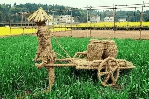 河北省农业农村厅推出11条休闲农业精品线路，助力农业旅游发展