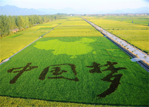 农业部印发《关于大力发展休闲农业的指导意见》 推动农业转型升级与乡村振兴新引擎