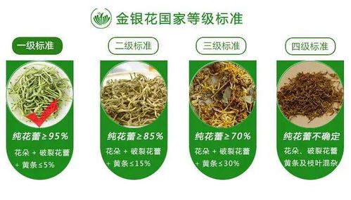 广西巴马意生活生态农业产品正式上市 健康农业新标杆，绿色生活新风尚