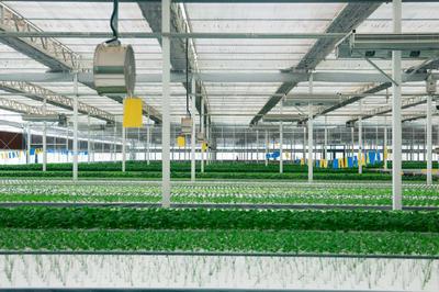 饭碗端得更牢 餐桌更加丰富——“十四五”农业高质量发展答卷