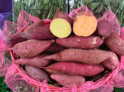 安吉绿耕生态农业发展 从“大番薯”看薯类作物的生态价值与产业未来